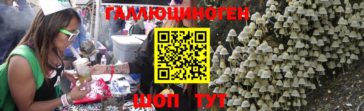 Галлюциногенные грибы ЛСД Северск
